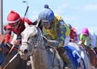 Stakes Winner Han Sense Tops Nashua Field Stakes Winner Han Sense Tops Nashua Field