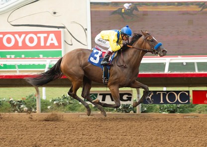 Vale Dori wins the 2016 Tranquility Lake Stakes