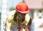Masochistic and trainer Ron Ellis will not be permitted to participate in the 2017 Breeders' Cup World Championships