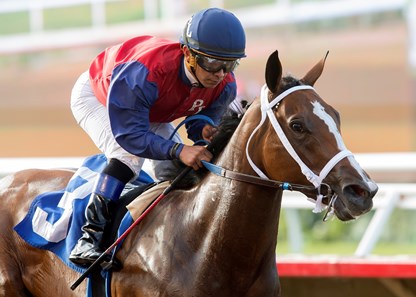 Miss Sunset wins the 2016 Generous Portion Stakes