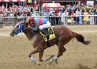 Gunnevera Will Try Jackpot Over Breeders' Cup Gunnevera Will Try Jackpot Over Breeders' Cup