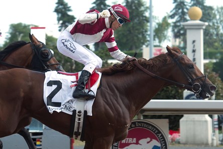 Jockey Luis Contreras guides Breaking Lucky to victory in the $150,000 Seagram Cup Stakes (Can-III) at Woodbine Racetrack August 1, 2016.
