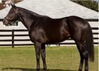 Victor's Cry has been relocated to Holden Farm in Indiana