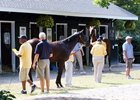 Hips to Watch in New York-Bred Sale Day 2 Hips to Watch in New York-Bred Sale Day 2