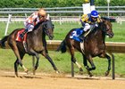 New Stakes Winner Gets Scat Daddy to 75 New Stakes Winner Gets Scat Daddy to 75