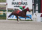 Blossom d'Orange wins Produccion Nacional at Maronas in Uruguay to become 1,000th winner for Barry Irwin's Team Valor International