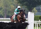 Portrade takes a hurdle during the 2016 New York Turf Writers Cup at Saratoga