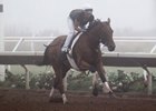 Beholder Breezes Half-Mile in :47 Beholder Breezes Half-Mile in :47