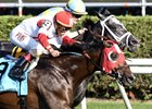 Camelot Kitten, outside, wins 2016 National Museum of Racing Hall of Fame Stakes by a nose from Airoforce