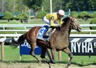 Wavell Avenue wins the 2016 Shine Again Stakes.