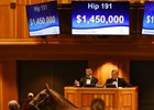 Hip 191, a Medaglia d'Oro filly, brought $1.45 million.