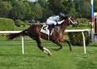 Made You Look wins the With Anticipation Stakes Aug. 31.