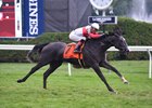 On Leave wins the 2016 Riskaverse Stakes.