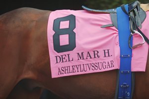 Ashleyluvssugar Del Mar Handicap Highlights Ashleyluvssugar Del Mar Handicap Highlights