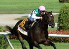 Flintshire Among First 'Super Saturday' Cast Flintshire Among First 'Super Saturday' Cast
