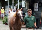 China Horse Club Bolsters U.S. Presence China Horse Club Bolsters U.S. Presence