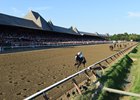 Arrogate won the 2016 Travers on his way to a 3-year-old championship. This year's winner may be on his way to the same honor