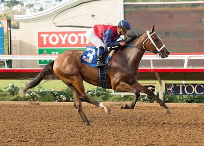 Miss Sunset wins the 2016 Generous Portion Stakes