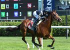 Impressive Maiden Winners Try Pilgrim Stakes Impressive Maiden Winners Try Pilgrim Stakes