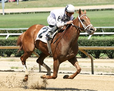 I'm a Looker wins the 2016 West Virginia Secretary of State Stakes.