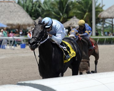 Dream of Me wins the 2016 Florida Sire Unbridled Stakes.