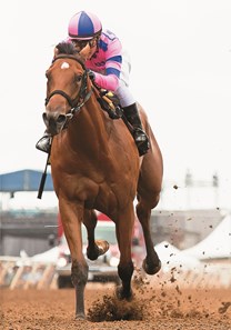 Champagne Room and jockey Mario Gutierrez win the Grade II $200,000 Sorrento Stakes Saturday, August 6, 2016 at Del Mar Thoroughbred Club, Del Mar, CA.
©Benoit Photo