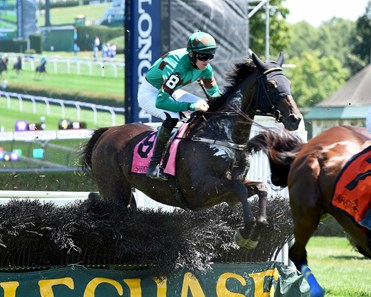 Bob Le Beau (IRE) wins the A. P. Smithwick Memorial Steeplechase S. (gr. I) at Saratoga