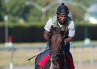 Casse Targets Third Leg of Canadian Crown Casse Targets Third Leg of Canadian Crown