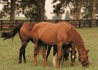 Walmac Farm to Consolidate Properties Walmac Farm to Consolidate Properties