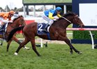 Black Heart Bart wins the 2016 Memsie Stakes.