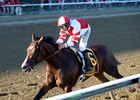 Songbird wins Aug. 20 Alabama Stakes