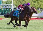 Beach Patrol fights for the win over Long Island Sound