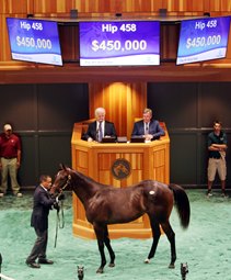 Uncle Mo Colt Sets F-T New York-Bred Record