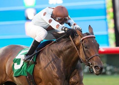 Frenzified wins the 2016 CTT and TOC Handicap.