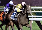 Wavell Avenue Looks for Gallant Bloom Rebound