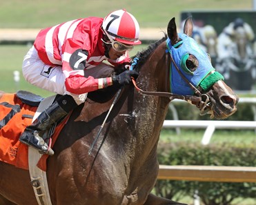 Spa Creek wins the 2016 Hancock County Stakes.