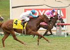 Another Try for Metaboss in John Henry Turf Another Try for Metaboss in John Henry Turf
