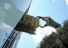 Donated hay being loaded onto a Brook Ledge van