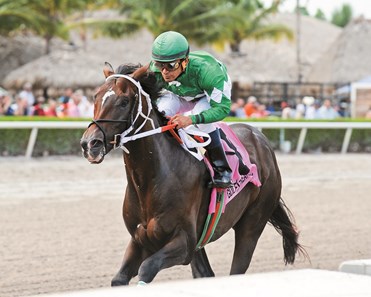 Three Rules wins Dr. Fager division of the Florida Sire Stakes at Gulfstream.