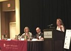 Strategy Urged for Protection of Horses Strategy Urged for Protection of Horses