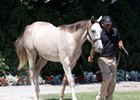 Tapit Colts Top F-T Day 2 Hips to Watch Tapit Colts Top F-T Day 2 Hips to Watch