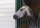 Frosted at Greentree Training Center