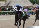 R Kinsely Doll wins the Three Ring Stakes, one of the 2016 Florida Sire Stakes races for 3-year-olds