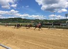 Racing at Mountaineer in West Virginia