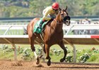 Masochistic wins the 2016 Pat O'Brien Stakes (G2) at Del Mar