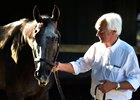 Baffert Reflects on Arrogate's Travers Romp Baffert Reflects on Arrogate's Travers Romp