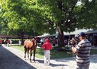 Fasig-Tipton Saratoga