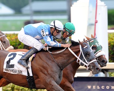 Cajun Delta Dawn wins the 2016 Florida Sire - Desert Vixen Stakes.