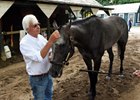 Arrogate's Romp Enhances Half Sister's Value Arrogate's Romp Enhances Half Sister's Value