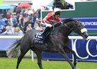 Mecca's Angel rolls to victory in the Coolmore Nunthorpe Stakes